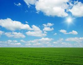 Fotoroleta piękny niebo trawa łąka pole