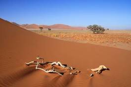 Plakat pustynia wydma piasek namibia