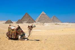 Fototapeta piramida piękny antyczny egipt stary