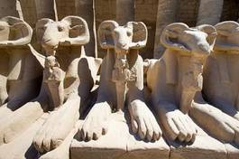 Fototapeta egipt świątynia afryka antyczny sztuka
