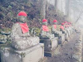 Obraz na płótnie antyczny las japoński święty azja