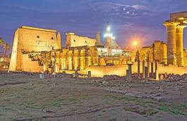 Fotoroleta egipt drzewa aleja meczet
