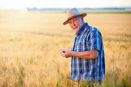 Fototapeta mężczyzna jęczmień pszenica portret