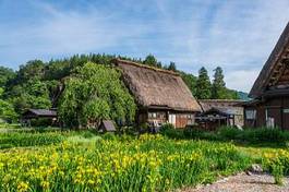 Naklejka architektura japonia krajobraz wieś światowa spuścizna