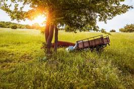 Obraz na płótnie traktor lato pejzaż transport jesień