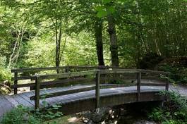 Obraz na płótnie las most jogging sport zdrowie