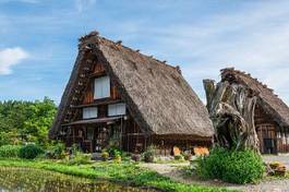 Obraz na płótnie wieś krajobraz architektura japonia