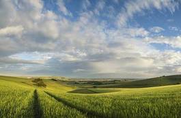 Plakat rolnictwo pole pejzaż panoramiczny pszenica