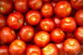 Naklejka warzywo owoc pomidor jedzenie