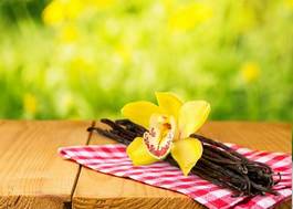 Fotoroleta kwiat natura wanilia storczyk