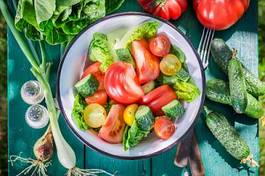 Naklejka jedzenie zdrowy ogród pomidor natura