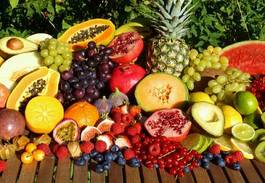 Obraz na płótnie żniwa owoc egzotyczny cytrus