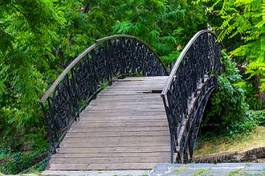 Naklejka las park wybrzeże most