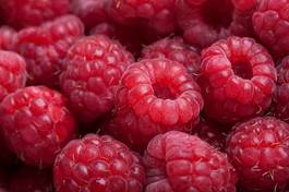 Obraz na płótnie jedzenie owoc czerwony