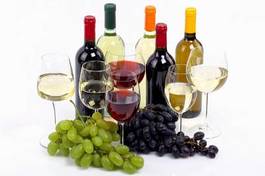 Fotoroleta napój czerwone wino wino odmianowe