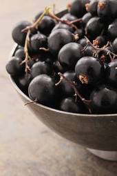 Naklejka owoc zdrowa żywność naturalny słodki organiczny