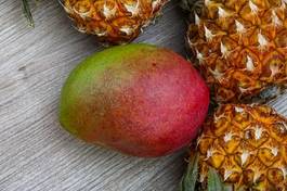 Plakat zdrowy tropikalny owoc