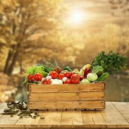 Fototapeta natura żniwa jesień warzywo