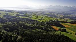 Fotoroleta krajobraz jodła szwajcaria las