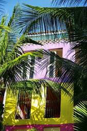 Plakat brazylia palma fioletowy zielony kolor