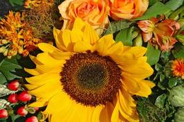 Obraz na płótnie słońce lato bukiet kwiat