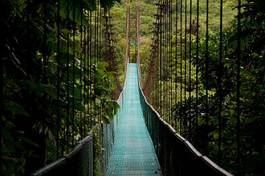 Naklejka wiszący most w dżungli