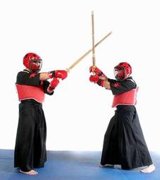 Obraz na płótnie orientalne karate   