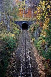 Naklejka park transport tunel