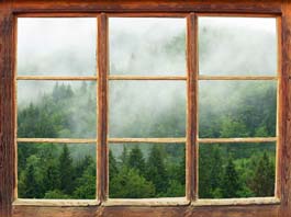 Obraz na płótnie widok na mglisty las