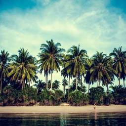 Plakat palmy na plaży