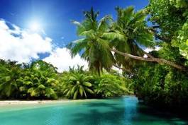 Plakat piękna wyspa z palmami