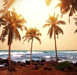 Plakat zachód słońca na tropikalnej wyspie