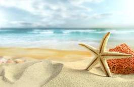 Naklejka rozgwiazda na plaży