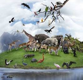 Plakat kolaż z dzikimi zwierzętami