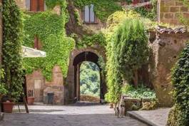 Naklejka stara uliczka porośnięta bluszczem w toskanii