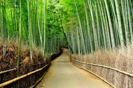 Naklejka bambusowa aleja - arashiyama