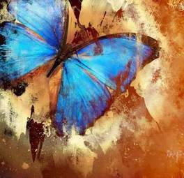 Naklejka niebieski motyl