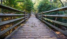 Obraz na płótnie drewniany most w lesie