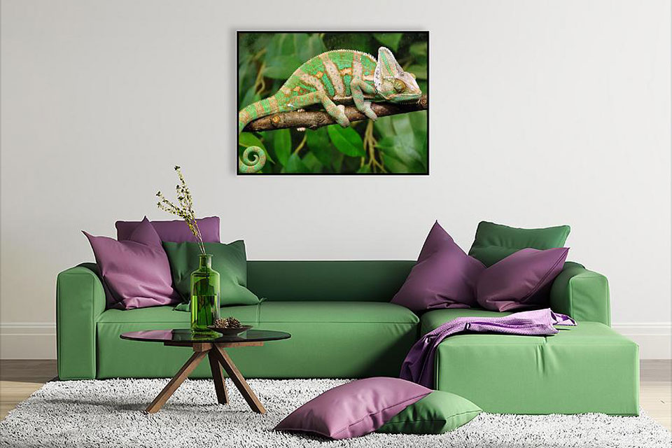 Plakat zielony kameleon - inspiracja