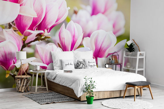 Fototapeta kwitnąca magnolia - inspiracja