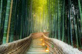 Obraz na płótnie ogród zen azja las drzewa