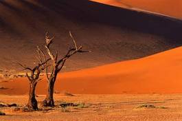 Naklejka słońce natura spokojny pejzaż pustynia