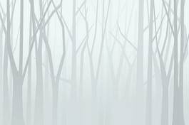 Plakat foggy forest. vector illustration