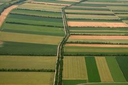 Fotoroleta natura pastwisko rolnictwo