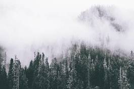 Naklejka las góra śnieg