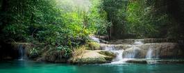 Fotoroleta dżungla park wodospad tajlandia tropikalny