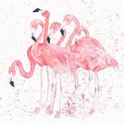 Plakat ładny flamingo ptak