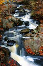 Plakat jesień woda natura krajobraz