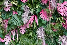 Plakat egzotyczny kwiat las dżungla