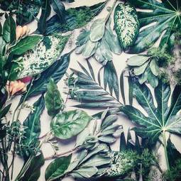 Plakat dżungla moda roślina wzór egzotyczny